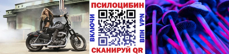 Псилоцибиновые грибы MAGIC MUSHROOMS  мега рабочий сайт  Фрязино 